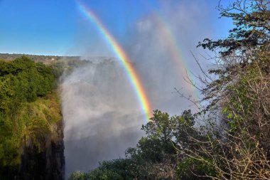 Victoria Falls, one of the Seven Natural Wonders of the World, is a breathtaking sight located on the border between Zambia and Zimbabwe. Known locally as 