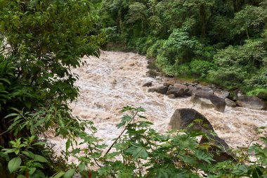Doğa gücü tam ekrana. Bu nehir taşmış, bize suyun dayanıklılığını ve öngörülemezliğini hatırlatıyor. Herkes güvende ve tetikte olsun. Vilcanota Aguas calientes Cusco.