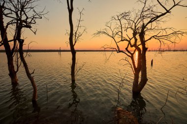 Sel basmış bir Afrika manzarası, nefes kesici bir gün batımının altın sarısı renkleriyle yıkandı. Bize hayatın zıtlıklarını hatırlatıyor. Sıkıntıdaki güzellik, kargaşa ortasındaki sükunet..