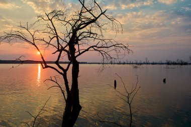 Sel basmış bir Afrika manzarası, nefes kesici bir gün batımının altın sarısı renkleriyle yıkandı. Bize hayatın zıtlıklarını hatırlatıyor. Sıkıntıdaki güzellik, kargaşa ortasındaki sükunet..