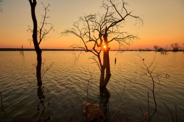 Sel basmış bir Afrika manzarası, nefes kesici bir gün batımının altın sarısı renkleriyle yıkandı. Bize hayatın zıtlıklarını hatırlatıyor. Sıkıntıdaki güzellik, kargaşa ortasındaki sükunet..