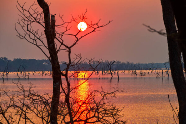 Затопленный африканский пейзаж, окутанный золотыми оттенками захватывающего заката, напоминает нам о контрастах жизни..