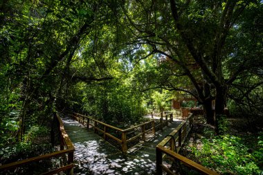 Baru Adaları, Kolombiya 'nın Karayipler kıyısında bulunan çarpıcı bir doğal bölgedir. Park el değmemiş plajları, yemyeşil tropikal yağmur ormanları ve çeşitli ekosistemleriyle ünlüdür. Kolombiya