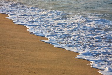 Tayrona Ulusal Parkı 'nın el değmemiş plajları sizi, bereketli tropikal ormanların çerçevelediği turkuaz suların altın kumlarla buluştuğu bir dünyaya davet ediyor. Gerçek bir Kolombiya mücevheri. .