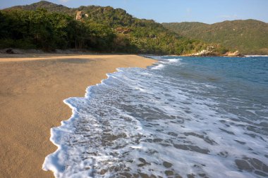 Tayrona Ulusal Parkı 'nın el değmemiş plajları sizi, bereketli tropikal ormanların çerçevelediği turkuaz suların altın kumlarla buluştuğu bir dünyaya davet ediyor. Gerçek bir Kolombiya mücevheri. .