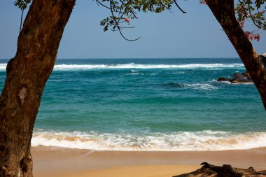 Tayrona Ulusal Parkı 'nın el değmemiş plajları sizi, bereketli tropikal ormanların çerçevelediği turkuaz suların altın kumlarla buluştuğu bir dünyaya davet ediyor. Gerçek bir Kolombiya mücevheri. .