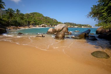 Tayrona Ulusal Parkı 'nın el değmemiş plajları sizi, bereketli tropikal ormanların çerçevelediği turkuaz suların altın kumlarla buluştuğu bir dünyaya davet ediyor. Gerçek bir Kolombiya mücevheri. .