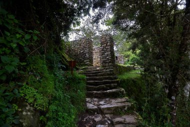 Intipunku 'ya (Güneş Kapısı) ulaşmak, Machu Picchu' nun ilk nefes kesen görüntüsünün gözlerinizin önüne serildiği bir zafer anıdır. Yolculuk için bir ödül, tarihe bir bakış ve sonsuza dek seninle kalacak bir manzara..