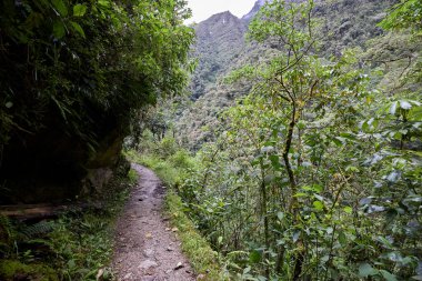 Efsanevi İnka Patikası 'nda antik ayak izlerini takip ediyorum. Her adım bizi Machu Picchu 'nun kayıp şehrine ve tarihin derinliklerine daha da yaklaştırıyor. Cusco Peru