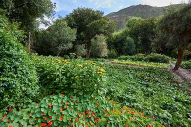 Aileye ait organik tarım sürdürülebilir tarım ve kültür mirasının bir kanıtıdır. Geleneksel yöntemlerle, sentetik kimyasallardan bağımsız çeşitli ürünler yetiştirmek.