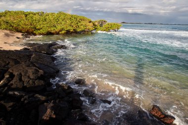 Las Tintoreras, Galapagos 'ta Isabela Adası yakınlarında bulunan küçük bir adacık grubudur. Bu bölgeye 