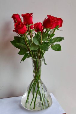 Her yaprağın bir hikaye anlattığı yere yaklaştık. Doğanın karmaşık güzelliği etrafımızdadır. Bazen ayrıntıları anlamak için yakınlaşmamız gerekir. Küçük şeylerdeki sihri görüyor musun??