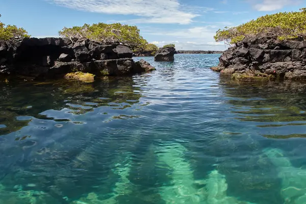Las Tintoreras, Galapagos 'ta Isabela Adası yakınlarında bulunan küçük bir adacık grubudur. Bu bölgeye 