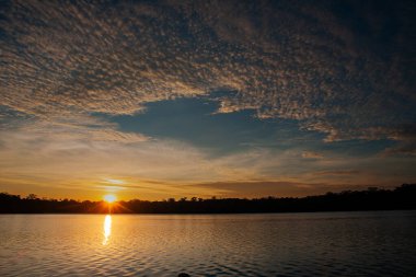 Sandoval Gölü (ayrıca Lago Sandoval olarak da bilinir), Peru 'nun güneydoğusundaki Amazon yağmur ormanlarında bulunan Tambopata Ulusal Rezervi sınırları içinde bulunan el değmemiş bir öküz ağacıdır.