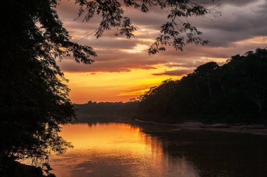 travelling on a boat along manu river. Tambopata natural reserve clipart