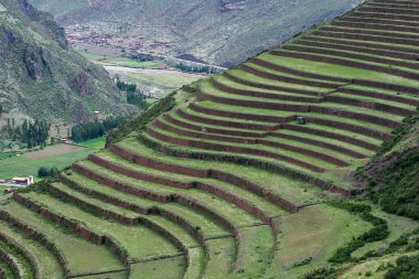 Pisac terasları Pisac Arkeoloji Parkı 'nın en dikkat çekici özelliklerinden biridir. 