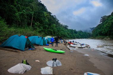TAMBOPATA RAFTING Vahşi yaşam için fırsatlarla dolu bir yolculuk, ekosistem hakkında bilgi edinmek, ve kendinizi ormanın kalbine daldırmak.