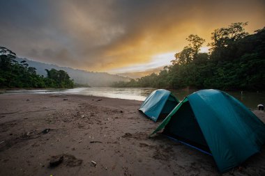 TAMBOPATA RAFTING Vahşi yaşam için fırsatlarla dolu bir yolculuk, ekosistem hakkında bilgi edinmek, ve kendinizi ormanın kalbine daldırmak.