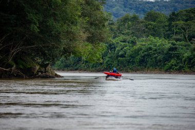 TAMBOPATA RAFTING Vahşi yaşam için fırsatlarla dolu bir yolculuk, ekosistem hakkında bilgi edinmek, ve kendinizi ormanın kalbine daldırmak.