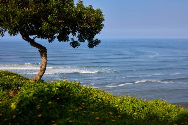 Yanınızda La Costa Verde 'nin sonsuz mavisiyle Miraflores' in kayalıklarında geziniyorsunuz. Burada attığınız her adım bir yaşam kutlaması gibi. Lima Peru
