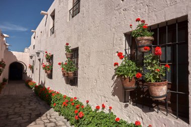 Arequipa-Santa Catalina manastırı Dominikli rahibeler için bir manastır olarak kuruldu. Büyüleyici mimarisi, canlı renkleri ve İspanyol sömürgeci ve yerel etkilerinin eşsiz karışımı ile ünlüdür..