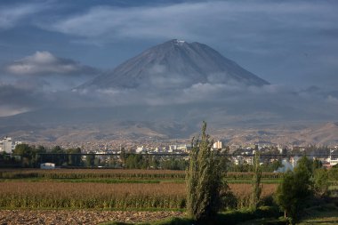 Arka planda volkan sisi olan Arequipa yakınlarındaki tarım arazileri.