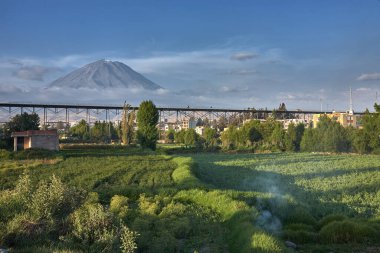 Arka planda volkan sisi olan Arequipa yakınlarındaki tarım arazileri.