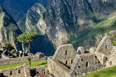 And Dağları 'nın tepelerine tünemiş Machu Picchu İnka medeniyetinin görkeminin bir kanıtı olarak duruyor. Sisli tepeler ve yemyeşil yeşilliklerle çevrili bu antik harikalar saygı ve saygı uyandırır.
