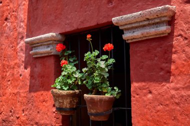 Arequipa-Santa Catalina manastırı Dominikli rahibeler için bir manastır olarak kuruldu. Çarpıcı mimarisi ve canlı renkleriyle ünlüdür..