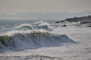 Büyük fırtınalı deniz dalgası. Peru Sahil Hattı - Caplina La Herradura Chorrillos.