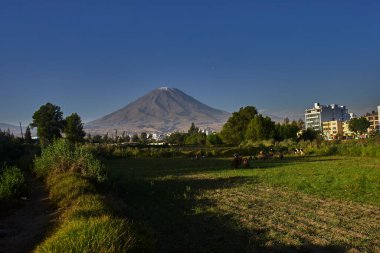 Arka planda yanardağ sisi, Chachani ve Pichu Pichu olan Arequipa yakınlarındaki tarım arazileri.