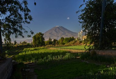 Arka planda yanardağ sisi, Chachani ve Pichu Pichu olan Arequipa yakınlarındaki tarım arazileri.