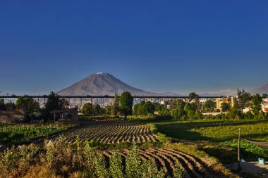 Arka planda yanardağ sisi, Chachani ve Pichu Pichu olan Arequipa yakınlarındaki tarım arazileri.