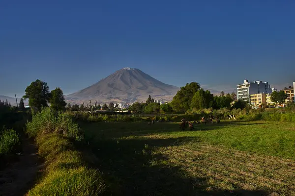 Arka planda yanardağ sisi, Chachani ve Pichu Pichu olan Arequipa yakınlarındaki tarım arazileri.