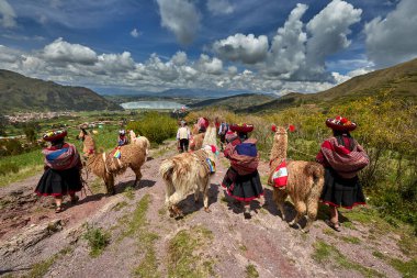 Piuray Gölü 'ne bakan Lama Gölü Cusco, Peru' lu Geleneksel Andean Kadınları