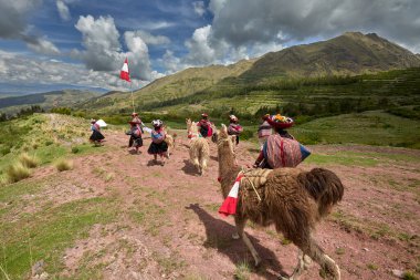 Piuray Gölü 'ne bakan Lama Gölü Cusco, Peru' lu Geleneksel Andean Kadınları