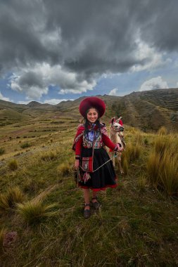 Piuray Gölü 'ne bakan Lama Gölü Cusco, Peru' lu Geleneksel Andean Kadınları