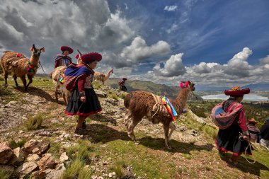 Piuray Gölü 'ne bakan Lama Gölü Cusco, Peru' lu Geleneksel Andean Kadınları