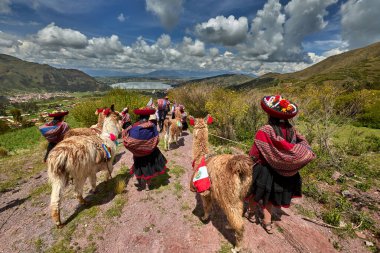 Piuray Gölü 'ne bakan Lama Gölü Cusco, Peru' lu Geleneksel Andean Kadınları