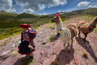 Piuray Gölü 'ne bakan Lama Gölü Cusco, Peru' lu Geleneksel Andean Kadınları