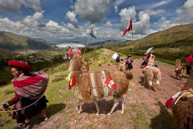 Piuray Gölü 'ne bakan Lama Gölü Cusco, Peru' lu Geleneksel Andean Kadınları