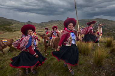 Piuray Gölü 'ne bakan Lama Gölü Cusco, Peru' lu Geleneksel Andean Kadınları