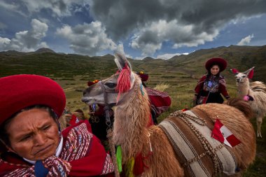Piuray Gölü 'ne bakan Lama Gölü Cusco, Peru' lu Geleneksel Andean Kadınları