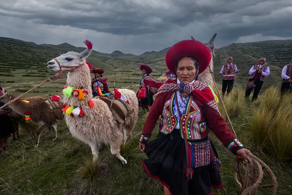 Piuray Gölü 'ne bakan Lama Gölü Cusco, Peru' lu Geleneksel Andean Kadınları
