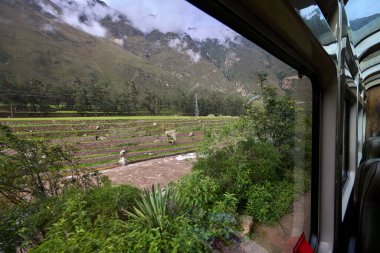 And Dağları 'nın kalbinden Machu Picchu' ya giden tren kükreyen Vilcanota Nehri 'nin kıyısına doğru ilerliyor. Her dönüşte, doğanın saf güzelliği ortaya çıkar..