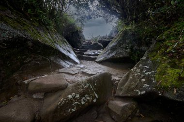 Peru 'daki Machu Picchu arkeolojik alanında taş izleri var. Büyük yosun kaplı kayalar ve yoğun And bitkileriyle çevrili dar patika tarihi İnka harabelerinden geçiyor..