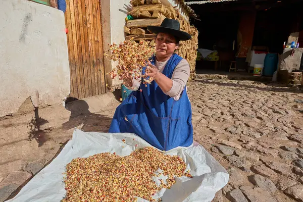 Chicha hazırlığı, Perus geleneksel mayalanmış içeceği hala kutsal vadide el yapımı, yüzyıllardır olduğu gibi..