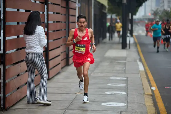 42 kilometrelik tutku, dayanıklılık ve şehir ruhu. Lima Maratonu 42K, dünyanın dört bir yanından gelen koşucuları bir araya getirdi..