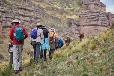 Penguen Kanyonu 'ndaki nefes kesici Tinajani Kanyonu' nu keşfetmek doğanın saf güzelliği ve yükselen kaya oluşumları bizi suskun bırakıyor. Buradaki her adım zamanda yolculuk gibi geliyor. Puno Peru
