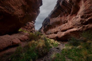 Penguen Kanyonu 'ndaki nefes kesici Tinajani Kanyonu' nu keşfetmek doğanın saf güzelliği ve yükselen kaya oluşumları bizi suskun bırakıyor. Buradaki her adım zamanda yolculuk gibi geliyor. Puno Peru